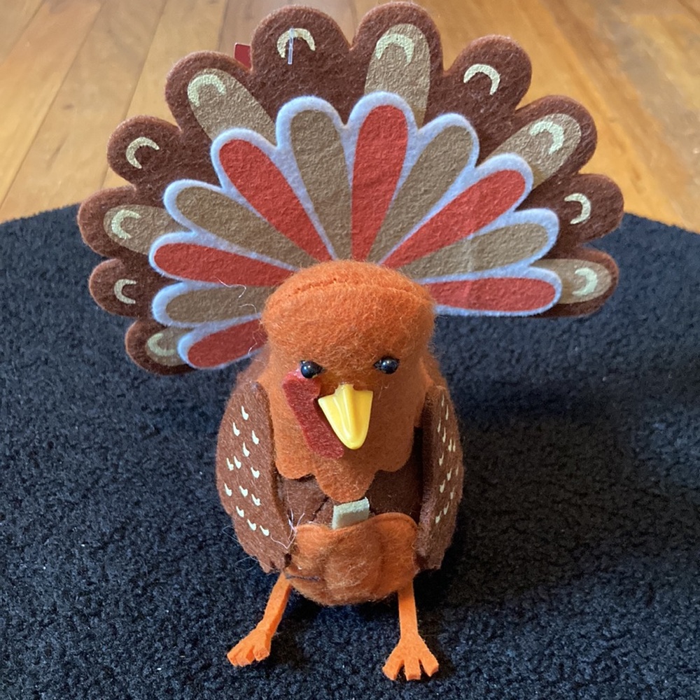Spritz Turkey One Count Thanksgiving Decor New